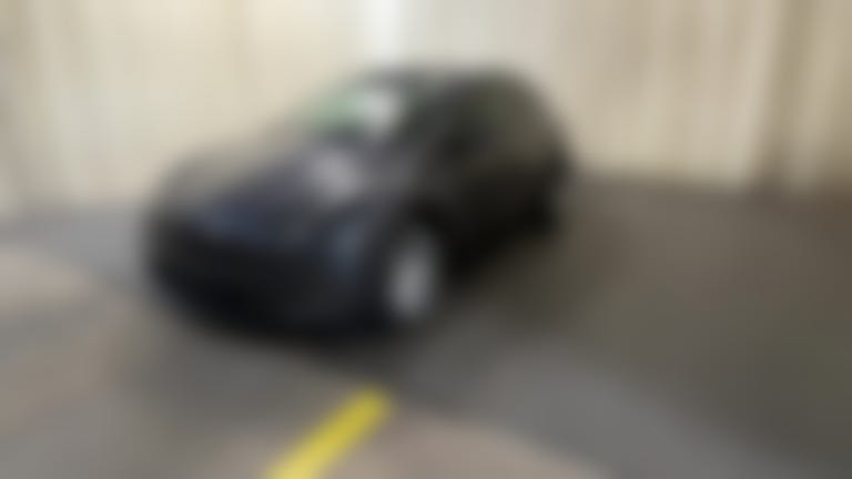 2023 Tesla Model Y vehicle photo