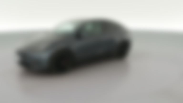 2021 Tesla Model Y vehicle photo