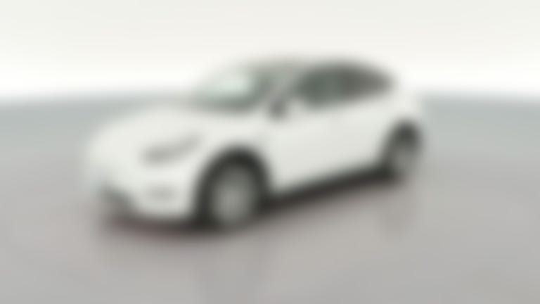 2020 Tesla Model Y vehicle photo