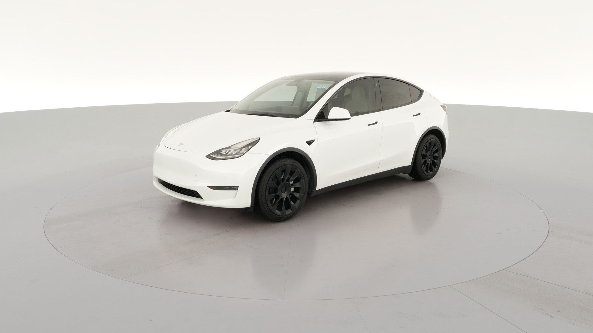 2021 Tesla Model Y vehicle photo