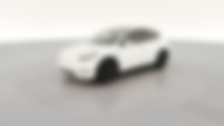 2021 Tesla Model Y vehicle photo