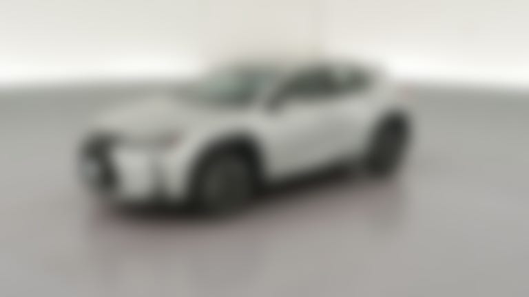 2020 Lexus UX vehicle photo