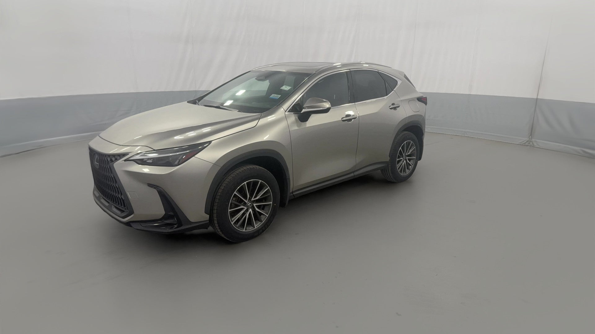 2024 Lexus NX vehicle photo