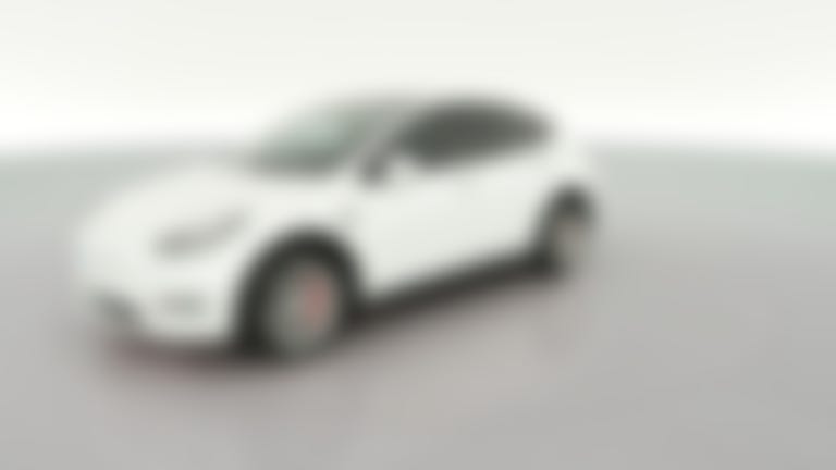 2022 Tesla Model Y vehicle photo