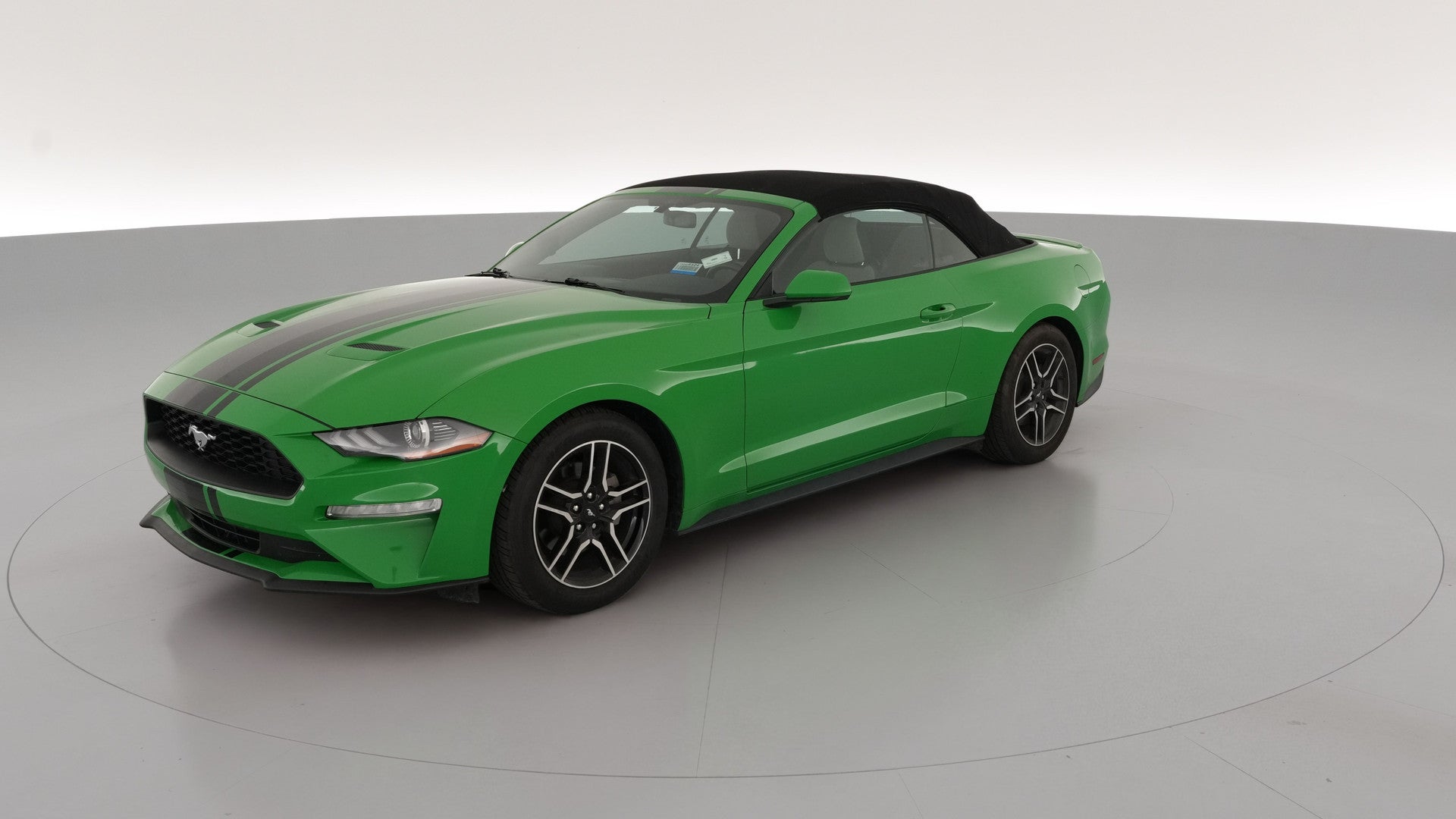 2019 Ford Mustang vehicle photo