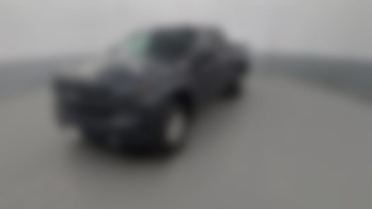 2019 Chevrolet Silverado 1500 Double Cab vehicle photo