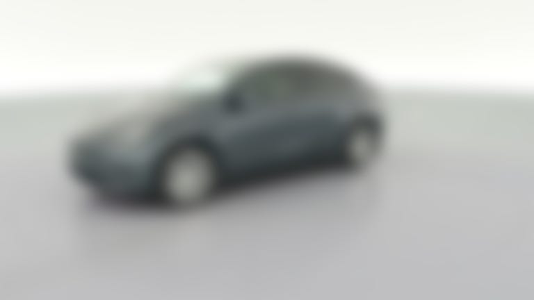 2021 Tesla Model Y vehicle photo