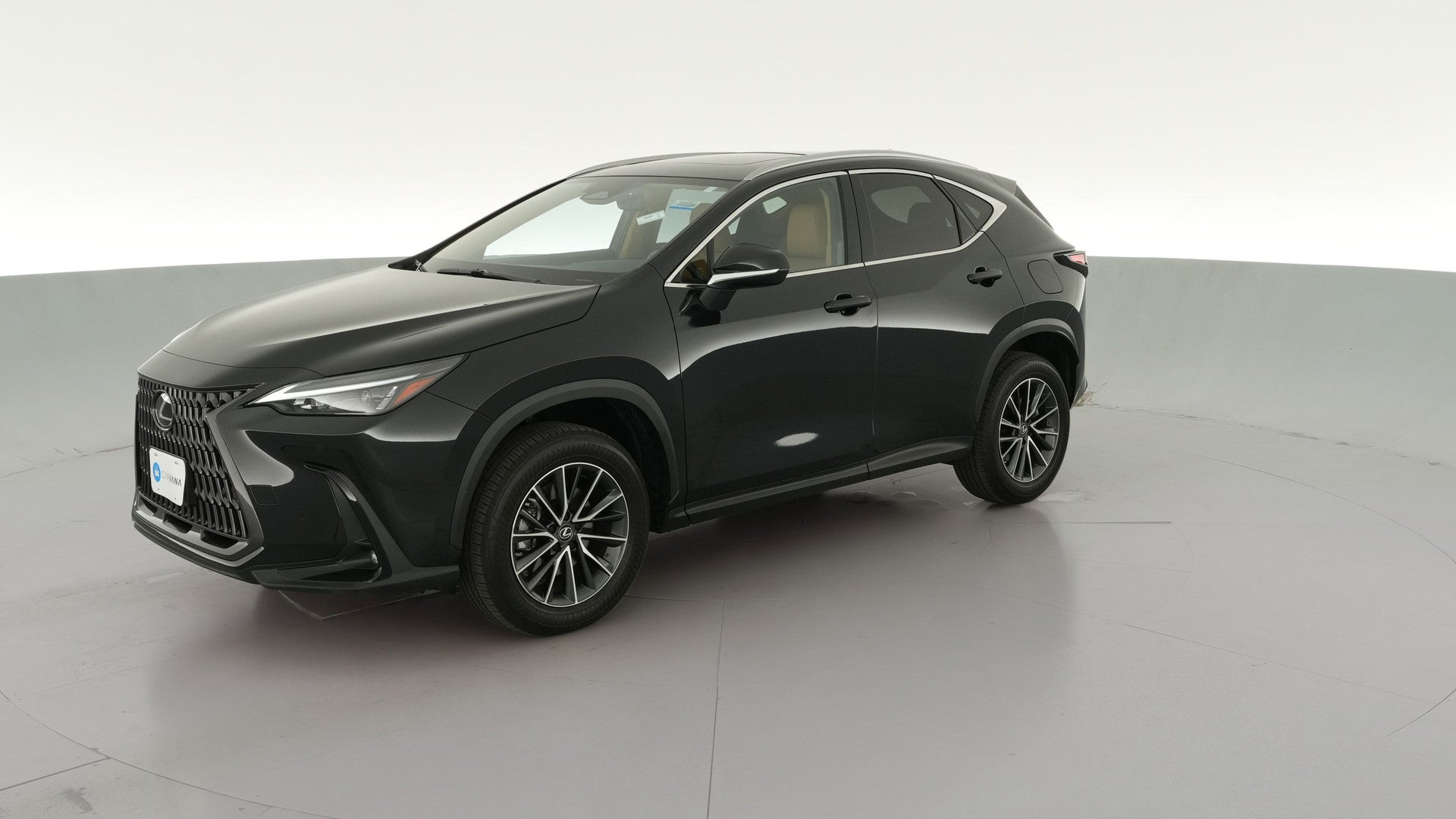 2024 Lexus NX vehicle photo