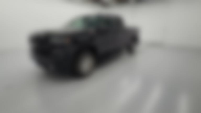 2020 Chevrolet Silverado 1500 Double Cab vehicle photo