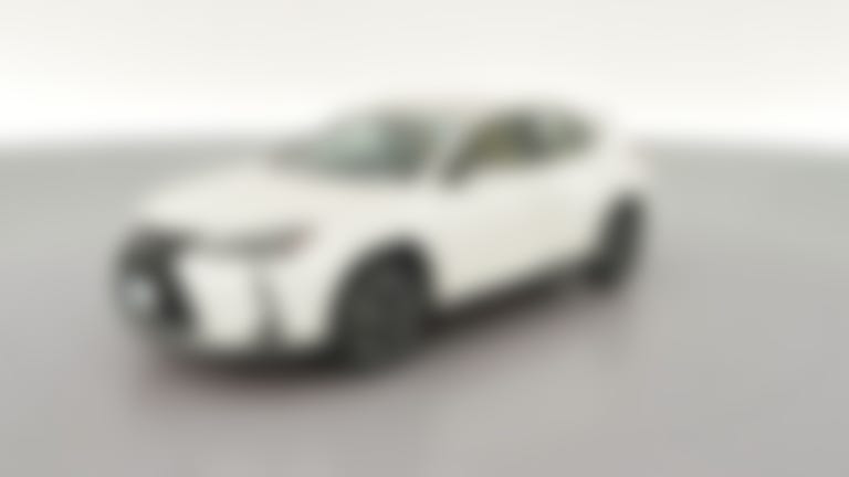 2024 Lexus UX vehicle photo