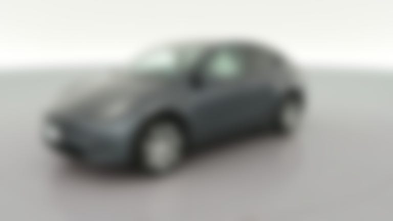 2021 Tesla Model Y vehicle photo