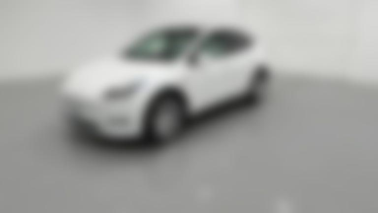 2021 Tesla Model Y vehicle photo