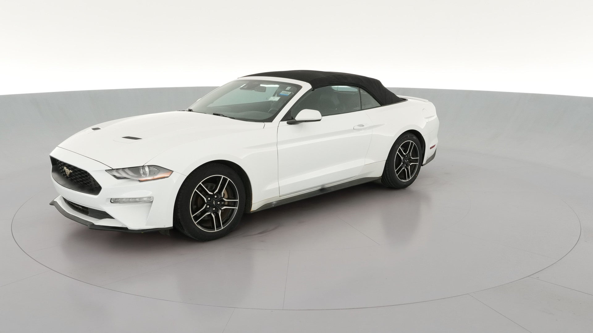 2023 Ford Mustang vehicle photo