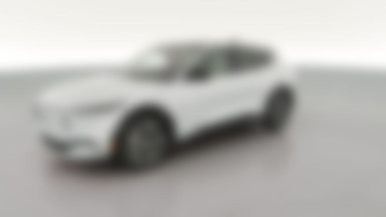 2021 Ford Mustang MACH-E vehicle photo