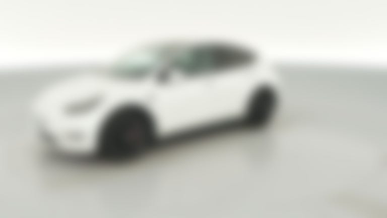 2021 Tesla Model Y vehicle photo