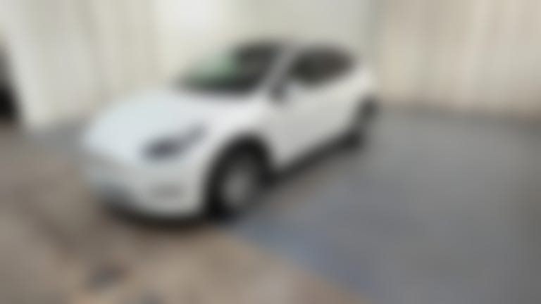 2021 Tesla Model Y vehicle photo