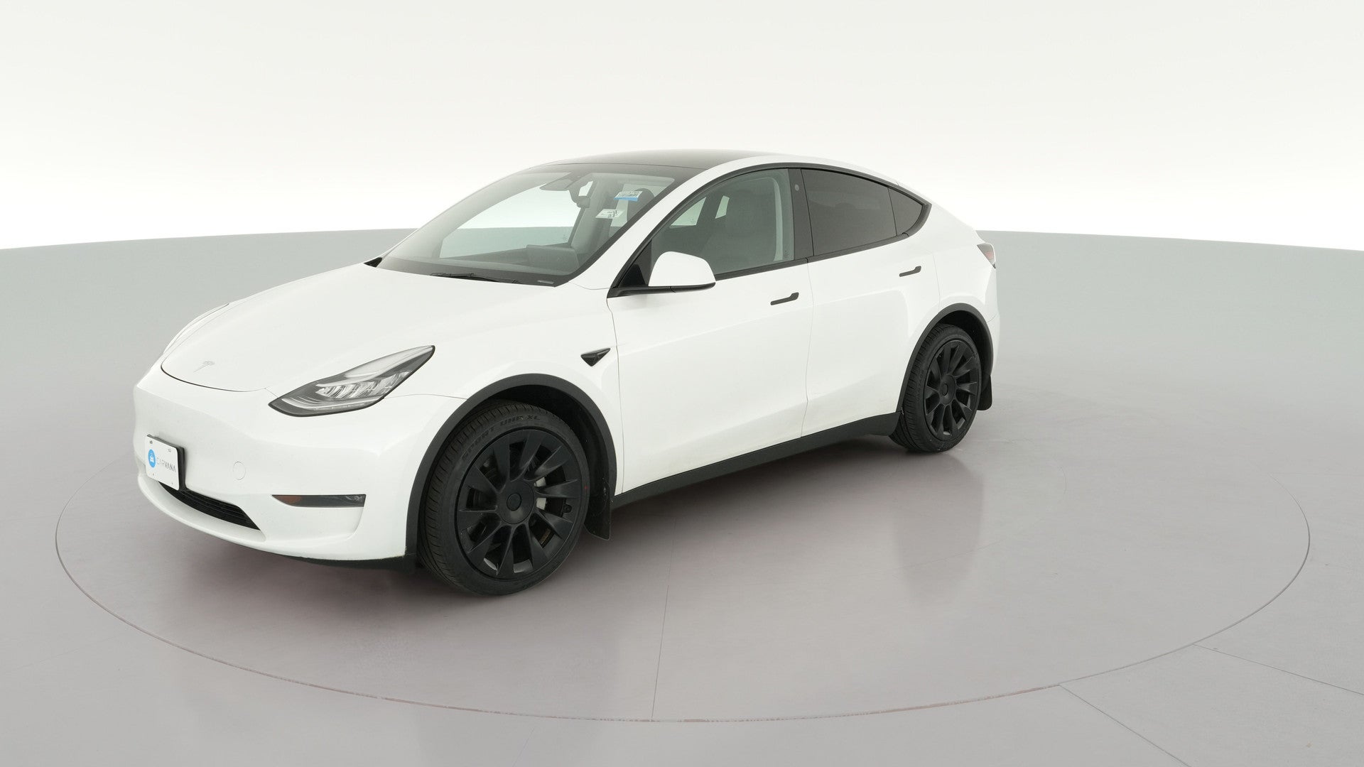 2023 Tesla Model Y vehicle photo