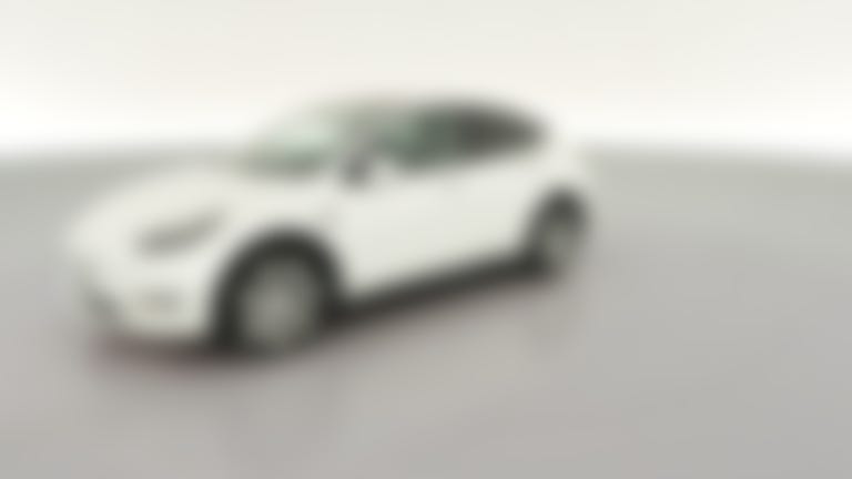2023 Tesla Model Y vehicle photo