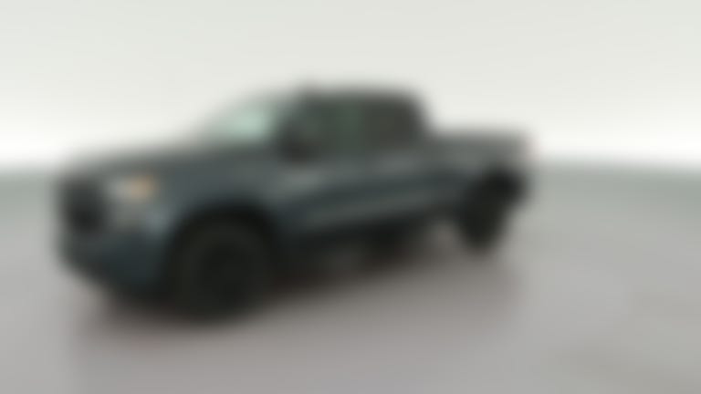 2021 Chevrolet Silverado 1500 Double Cab vehicle photo