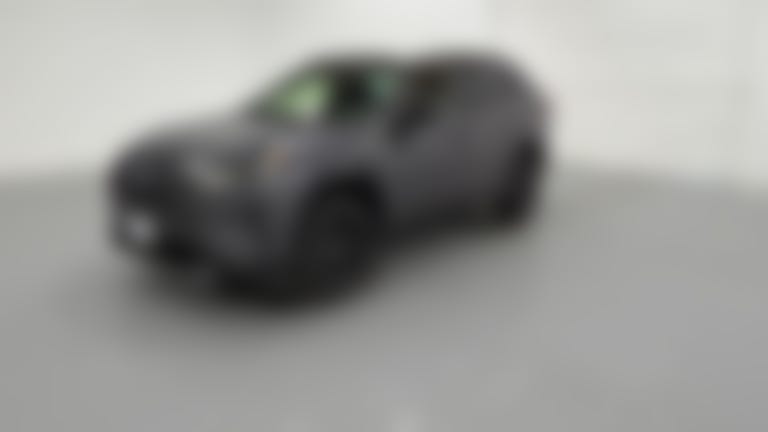 2019 Toyota RAV4 Hybrid vehicle photo