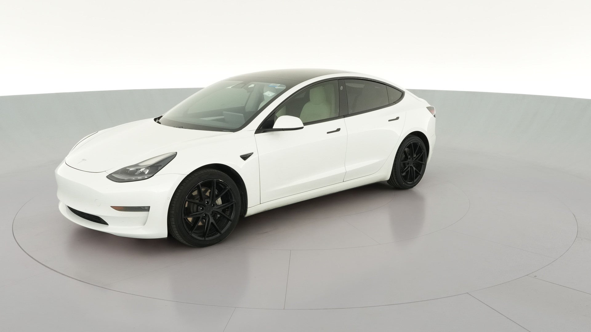 2021 Tesla Model 3 vehicle photo