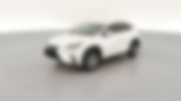 2020 Lexus NX vehicle photo