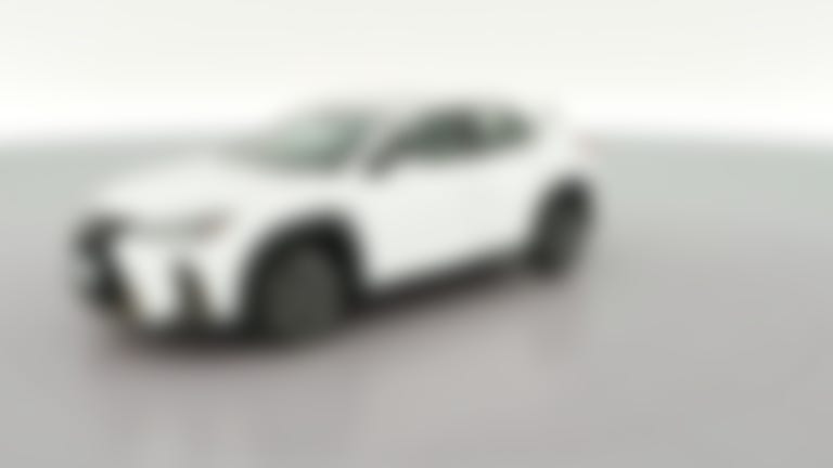 2019 Lexus UX vehicle photo