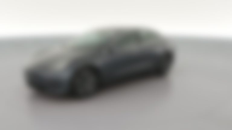 2019 Tesla Model 3 vehicle photo