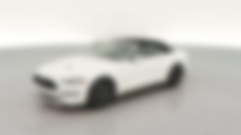 2019 Ford Mustang vehicle photo