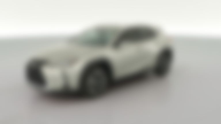 2020 Lexus UX vehicle photo