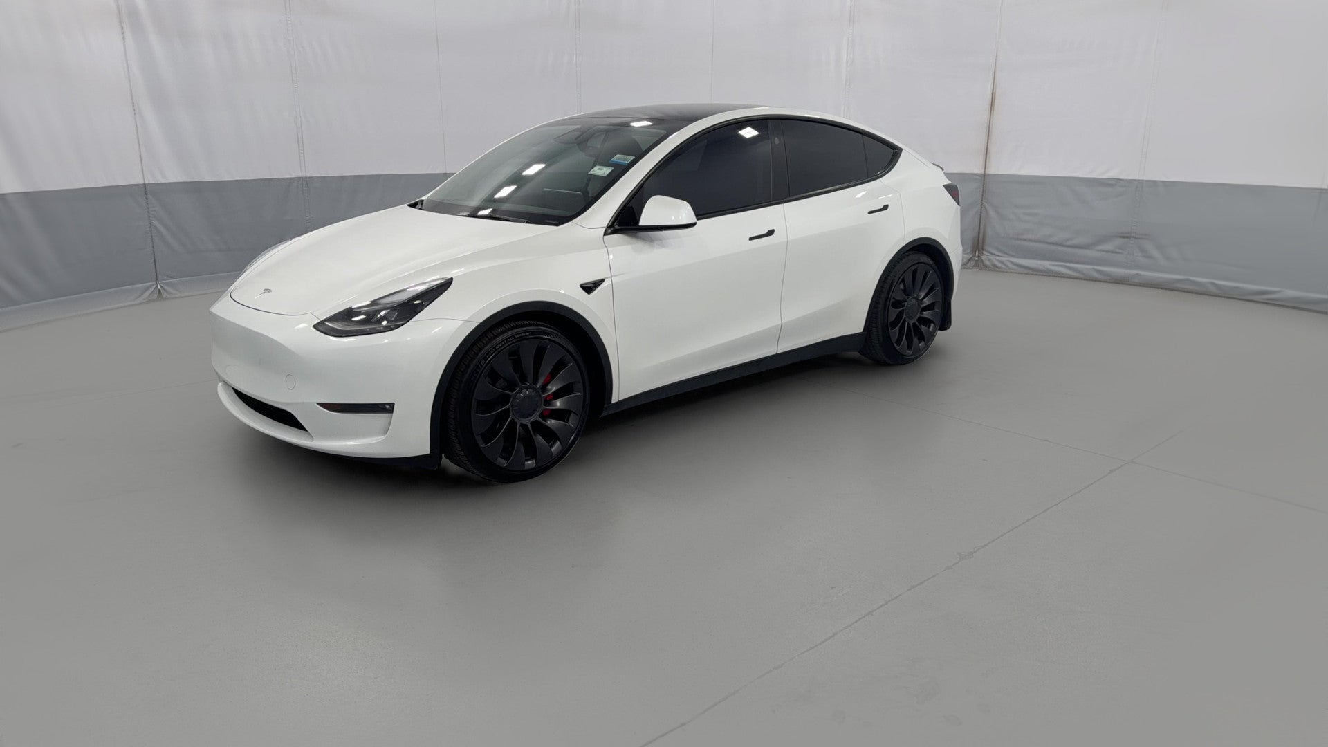 2023 Tesla Model Y vehicle photo