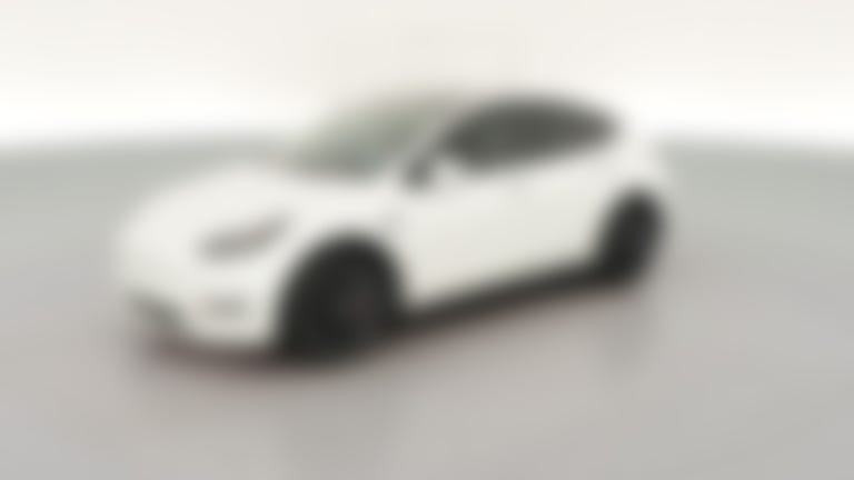 2021 Tesla Model Y vehicle photo