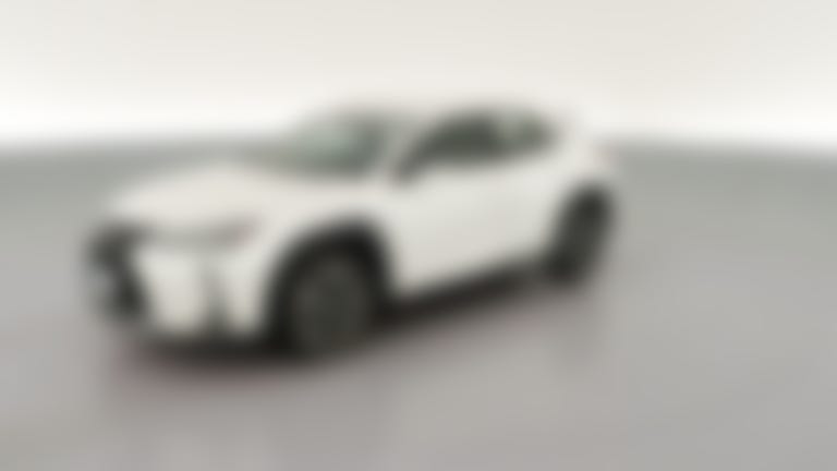 2021 Lexus UX vehicle photo