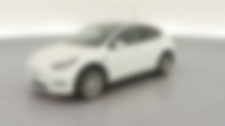 2020 Tesla Model Y vehicle photo