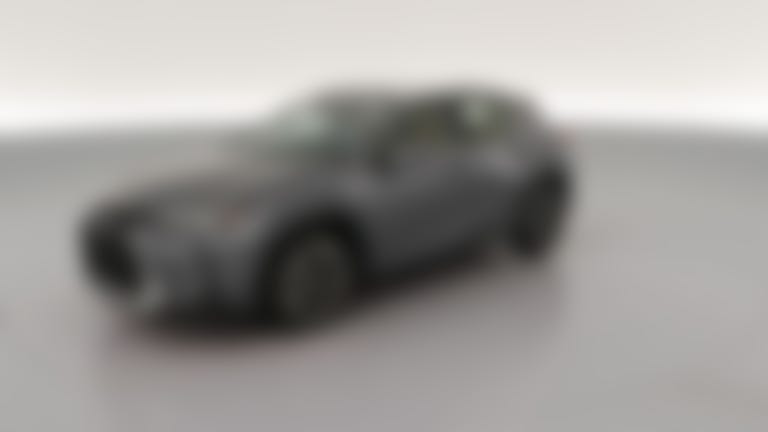 2020 Lexus UX vehicle photo
