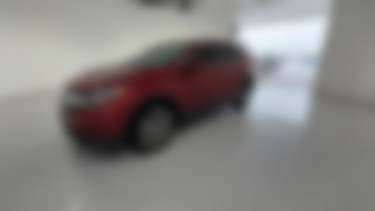 2019 Honda CR-V vehicle photo