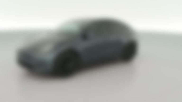 2021 Tesla Model Y vehicle photo