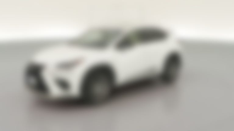 2019 Lexus NX vehicle photo