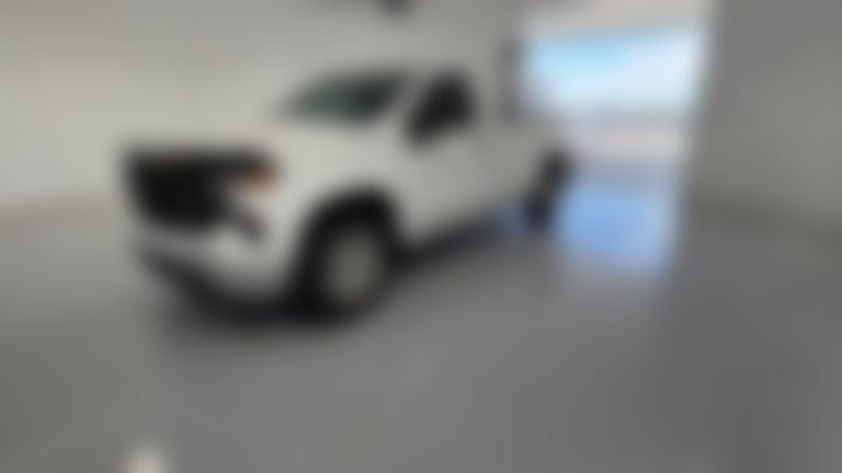 2022 Chevrolet Silverado 1500 Regular Cab vehicle photo