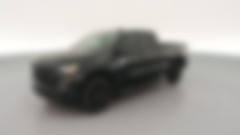 2024 Chevrolet Silverado 1500 Double Cab vehicle photo