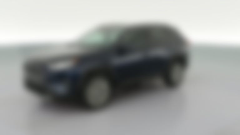 2019 Toyota RAV4 vehicle photo