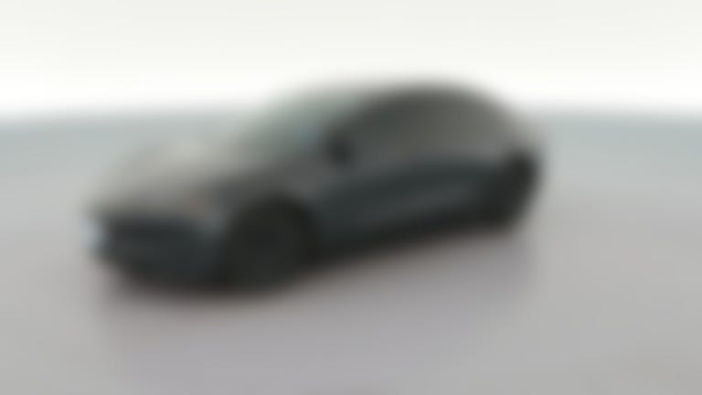 2025 Tesla Model 3 vehicle photo