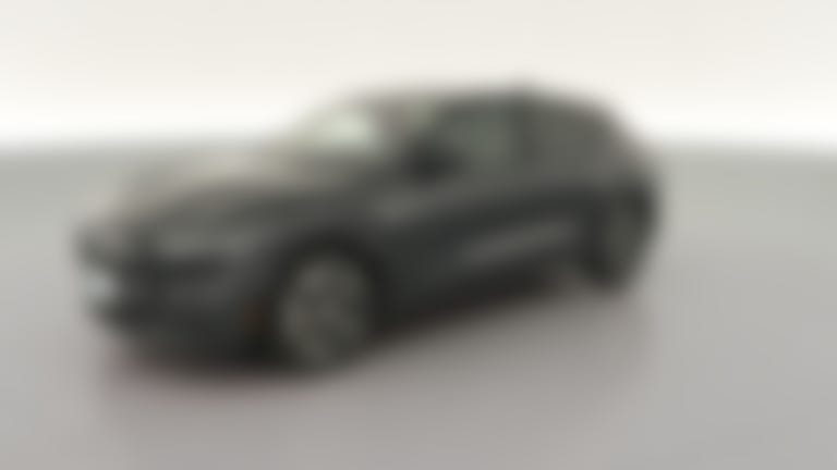 2021 Ford Mustang MACH-E vehicle photo