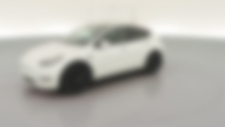 2021 Tesla Model Y vehicle photo