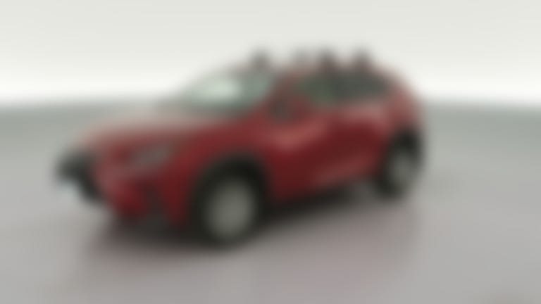 2019 Lexus NX vehicle photo