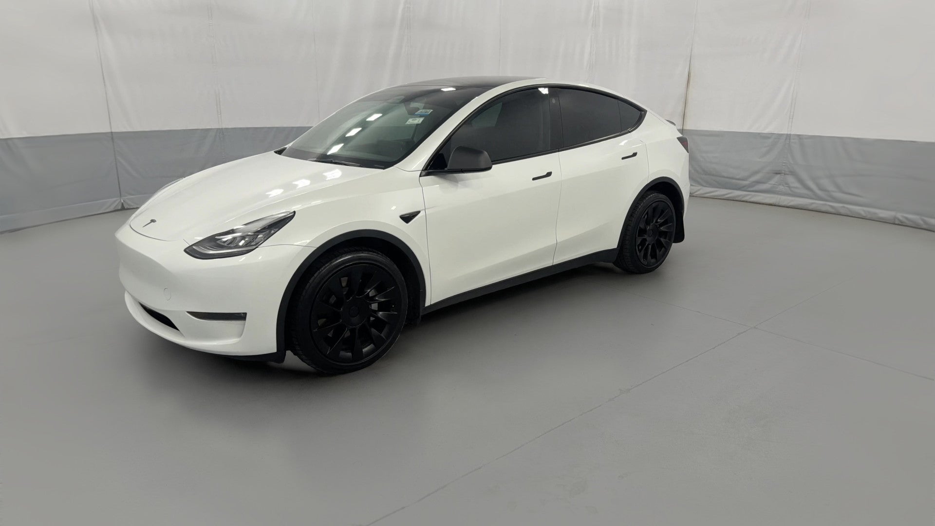2023 Tesla Model Y vehicle photo