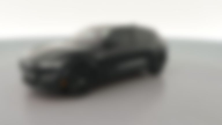 2021 Ford Mustang MACH-E vehicle photo