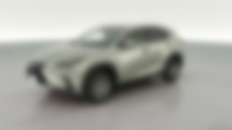 2019 Lexus NX vehicle photo