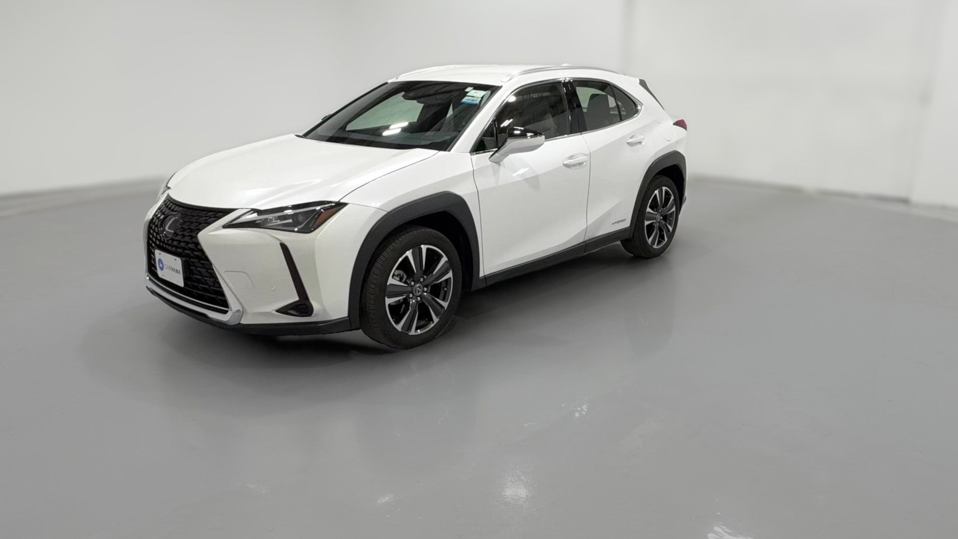 2022 Lexus UX vehicle photo