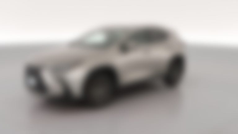 2024 Lexus NX vehicle photo